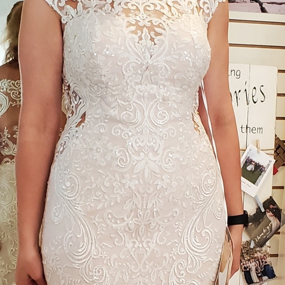 Wedding Dress - Picture 5 of 16